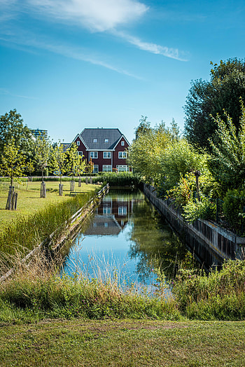 Nature, Water, Trees, Grass, Bush, House, Basin HD phone wallpaper