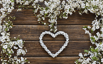 Happy Valentine's Day!, white, spring, valentine, brown, wood, flower, card, hear, blossom HD wallpaper