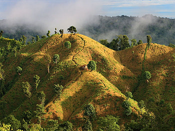 hillside home, grass, green, house, mountain HD wallpaper