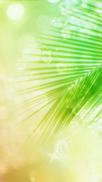 Spring Background, Green HD phone wallpaper