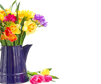 Spring Flowers, bouquet, daffidils, flowers, spring HD wallpaper
