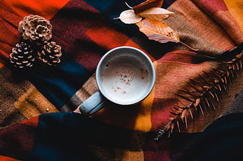 Warm cup of coffee on plaid blanket with pine cones and leaves, evoking fall vibes. HD wallpaper