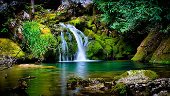 Serene nature scene, Waterfall oasis, High definition beauty, Tranquil HD wallpaper