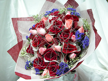 Flowers, Roses, Registration, Typography, Bouquet, Gossamer, Cobweb HD wallpaper