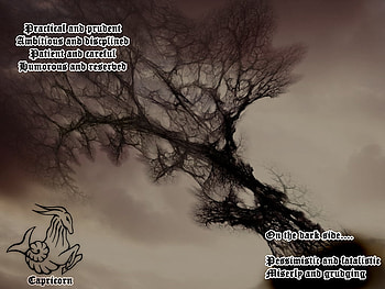 Capricorn, mystery, horoscope, , tree HD wallpaper