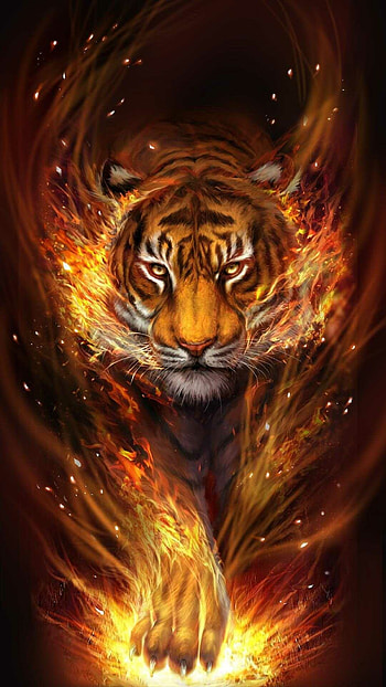 Cool tiger , Vobss HD phone wallpaper