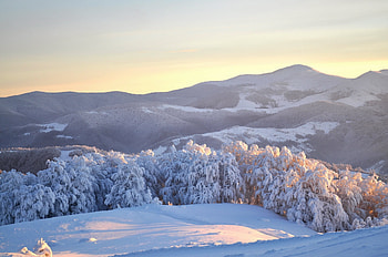 Winter, Nature, Trees, Snow, Ate, Ukraine, Severity, Heaviness, Carpathians HD wallpaper
