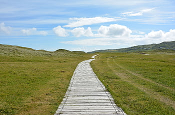 A tranquil scene of a wooden pathway through lush green meadows under a bright blue sky. HD wallpaper