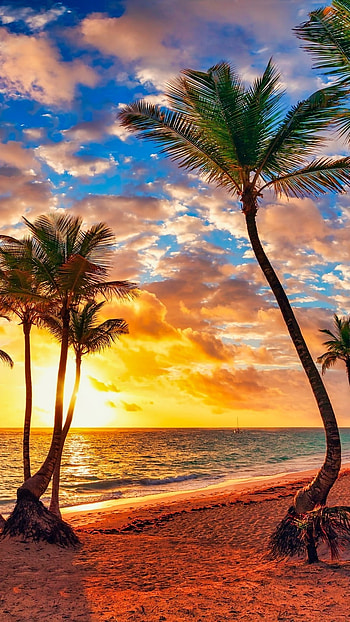 Best I , Sea View, Sunset HD phone wallpaper