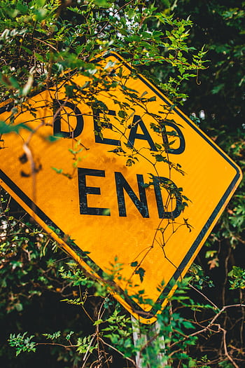 Close-up of a bright yellow dead end sign obscured by leaves, symbolizing caution. HD phone wallpaper