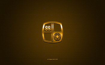 PS Barito Putera, Indonesian football club, yellow logo, yellow carbon fiber background, Liga 1, football, Banjarmasin, Indonesia, PS Barito Putera logo HD wallpaper