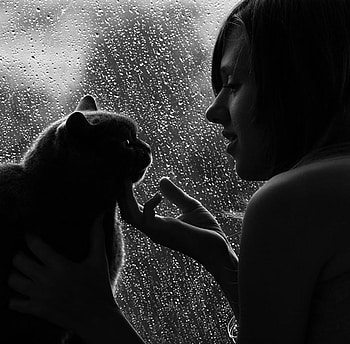 hello, girl, cat, black and white HD wallpaper