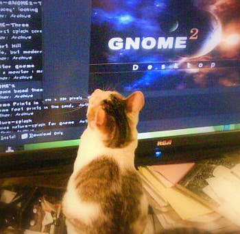 Stitch thinks he can read, stitch, tv, cat, funny HD wallpaper