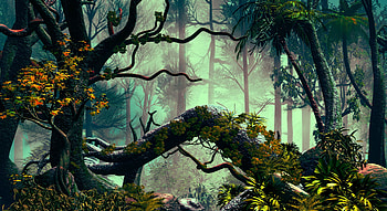 Trees, Art, Palms, Vegetation, Jungle HD wallpaper