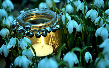 Flowers, Snowdrops, Bank, Miscellanea, Miscellaneous, Jar, Candle HD wallpaper