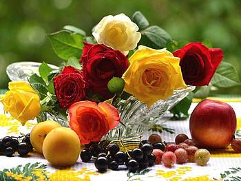 Still Life, colorful, bouquet, roses, vase, fruits, fresh, nature, flowers HD wallpaper