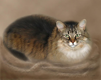 Abby, by Barbara Hymer, animal, kitten, digital, art, barbara hymer, cat HD wallpaper