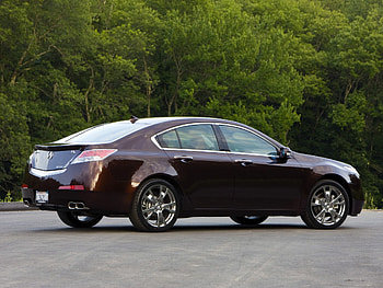 Trees, Acura, Cars, Asphalt, Side View, Style, Akura, 2008, Tl, Burgundy, Vinous HD wallpaper