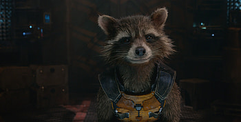 Rocket Guradians Of The Galaxy, guardians-of-the-galaxy, movies HD wallpaper