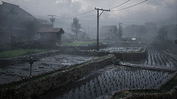 Silent Hill F: Foggy Vegetable Fields —, video game, Silent Hill F, vegetable garden HD wallpaper
