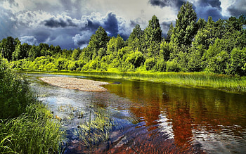 Summer Green Pond, lake, summer, green, clouds, trees, nature, sky, forest, pond HD wallpaper