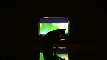 Art, Dark, Silhouette, Cat, Darkness HD wallpaper