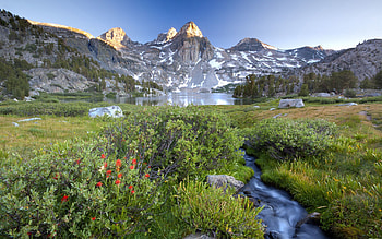 Nature, Flowers, Stones, Mountains, Vertex, Top, Lake, Shine, Light, Shrubs, Creek, Brook HD wallpaper