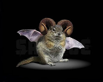 STRANGE CREATURE, animal, wings, hybrid, manipulated, fantasy, hop, cool, creature, squirrel HD wallpaper