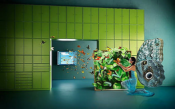 I will set you , dom, wings, flying , window, woman, fairy, butterflies, leaves, nature HD wallpaper