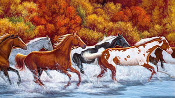 HORSES, animal, river, run, horse HD wallpaper