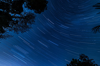 Trees, Stars, Dark, Blur, Smooth, Starry Sky, Long Exposure, Rotation HD wallpaper