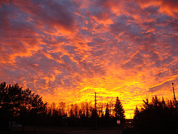 November Sunset, graphy, beautiful, orange, november, red, clouds, nature, sky, amazing, forest HD wallpaper