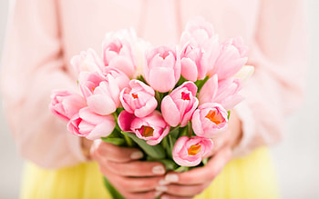 Tulips, tulip, bouquet, pink, flower, lalele, spring, hand HD wallpaper