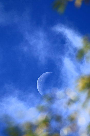 Nature, Sky, Moon, Glare, Blur, Smooth, Full Moon HD phone wallpaper