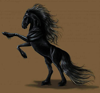 Black Horse Rearing, grg, yti, 7erk, eh, v, j, jd, ty, reah HD wallpaper