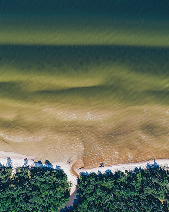 Nature, Water, Trees, Sea, View From Above, Coast HD phone wallpaper