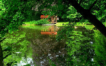 Nature, Trees, Summer, Lake, Reflection, Small House, Lodge, Wharf, Berth HD wallpaper