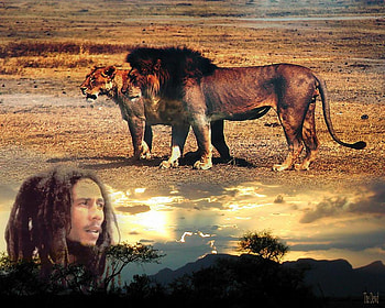 10,000 b.c., ten, lions HD wallpaper