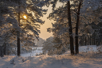 Beautiful winter, winter, nature, Beautiful, snow HD wallpaper