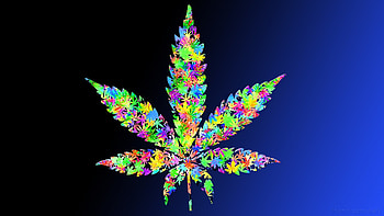 0 marijuana UP marijuana HD wallpaper