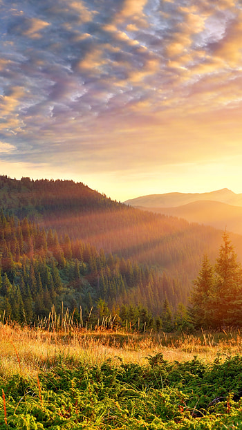 Mountain scenery morning sun, Rays Sony Xperia, Golden morning light, Majestic mountain views HD phone wallpaper
