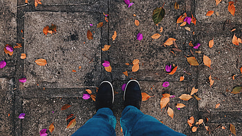 Autumn, Leaves, Miscellanea, Miscellaneous, Legs, Fallen HD wallpaper