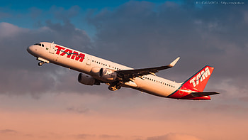 TAM Linhas Aereas, Travels, A321 features, Infinite Flight Community HD wallpaper