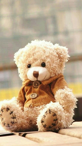 Teddy Bear, Teddy, Bear HD phone wallpaper