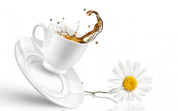 Tea-themed , Soothing visuals, Relaxed ambience, Herbal delight HD wallpaper