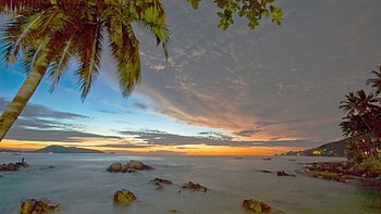 Thailand Beach Sunset, palm trees, tropical, sea, landscape, colors, clouds, sky HD wallpaper