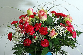 Ramo, rose, still life, bouquet, flower, red, nature, petal HD wallpaper