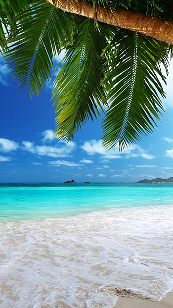 Lagoon, Vacation vibes, Tropical escape, Paradise found HD phone wallpaper