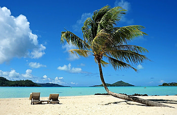 Beach bliss, Ocean serenity, High-quality , Tropical escape HD wallpaper