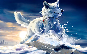 For > Cool Wolf Backgrounds HD wallpaper